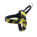 dog Harness