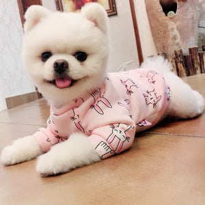 Chic Dog clothes