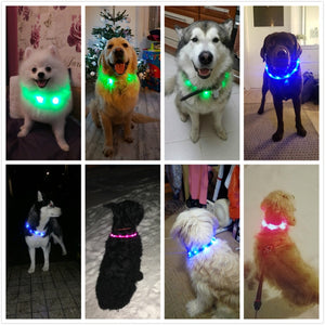 Rechargeable Flashing Night Collars