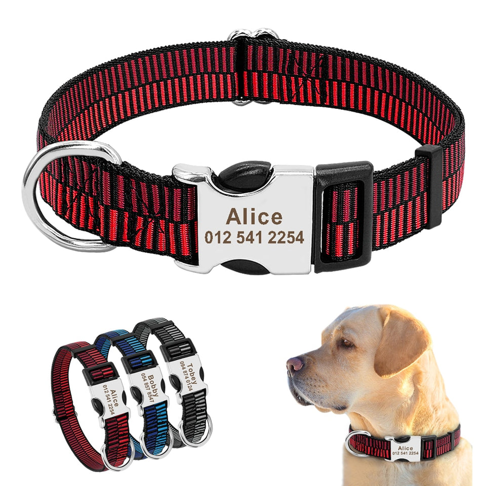 ID Collars