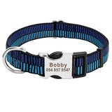 ID Collars