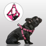 Reflective Sport Harness