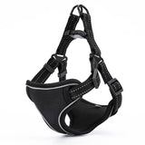 Reflective Sport Harness