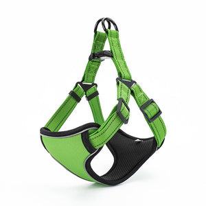 Reflective Sport Harness