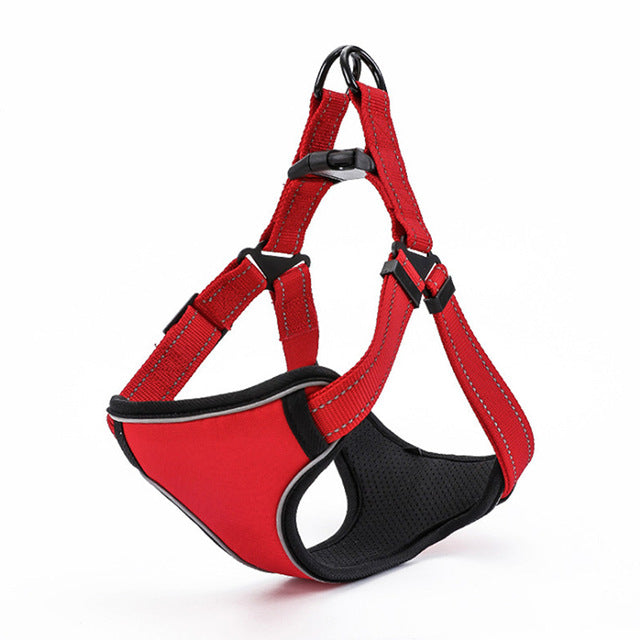 Reflective Sport Harness