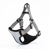 Reflective Sport Harness