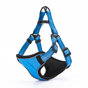 Reflective Sport Harness