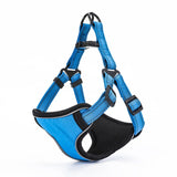 Reflective Sport Harness