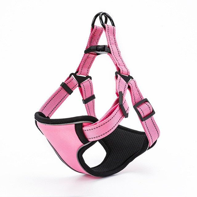 Reflective Sport Harness