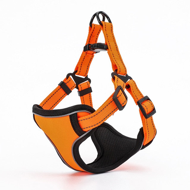 Reflective Sport Harness