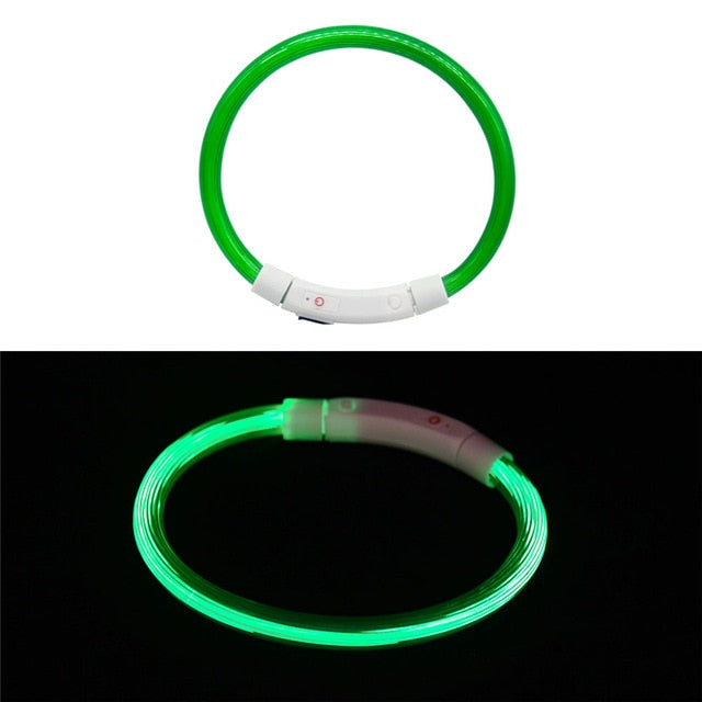 Rechargeable Flashing Night Collars