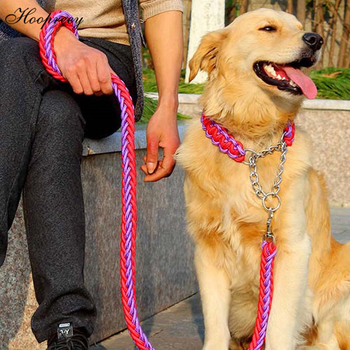 Dog Leads & Collar