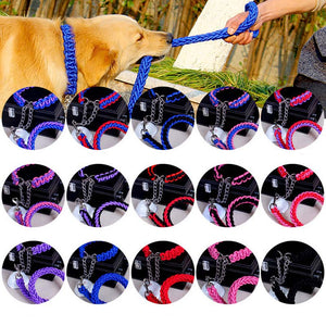 Dog Leads & Collar