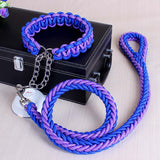 Dog Leads & Collar