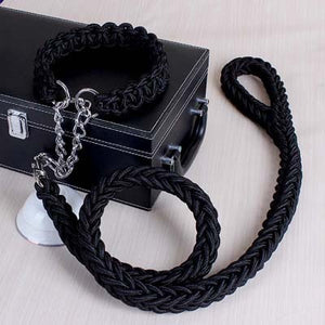 Dog Leads & Collar