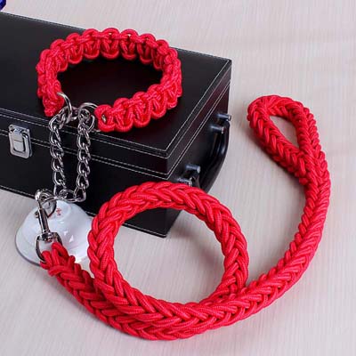 Dog Leads & Collar