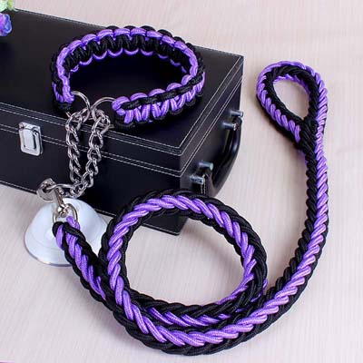 Dog Leads & Collar