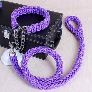 Dog Leads & Collar