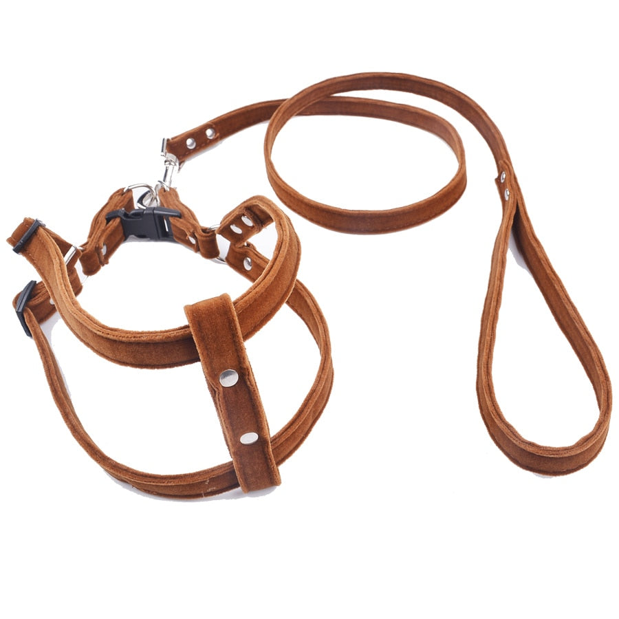 Dog Harness Leash Sets d