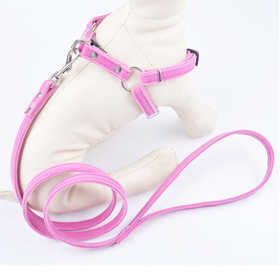 Dog Harness Leash Sets d