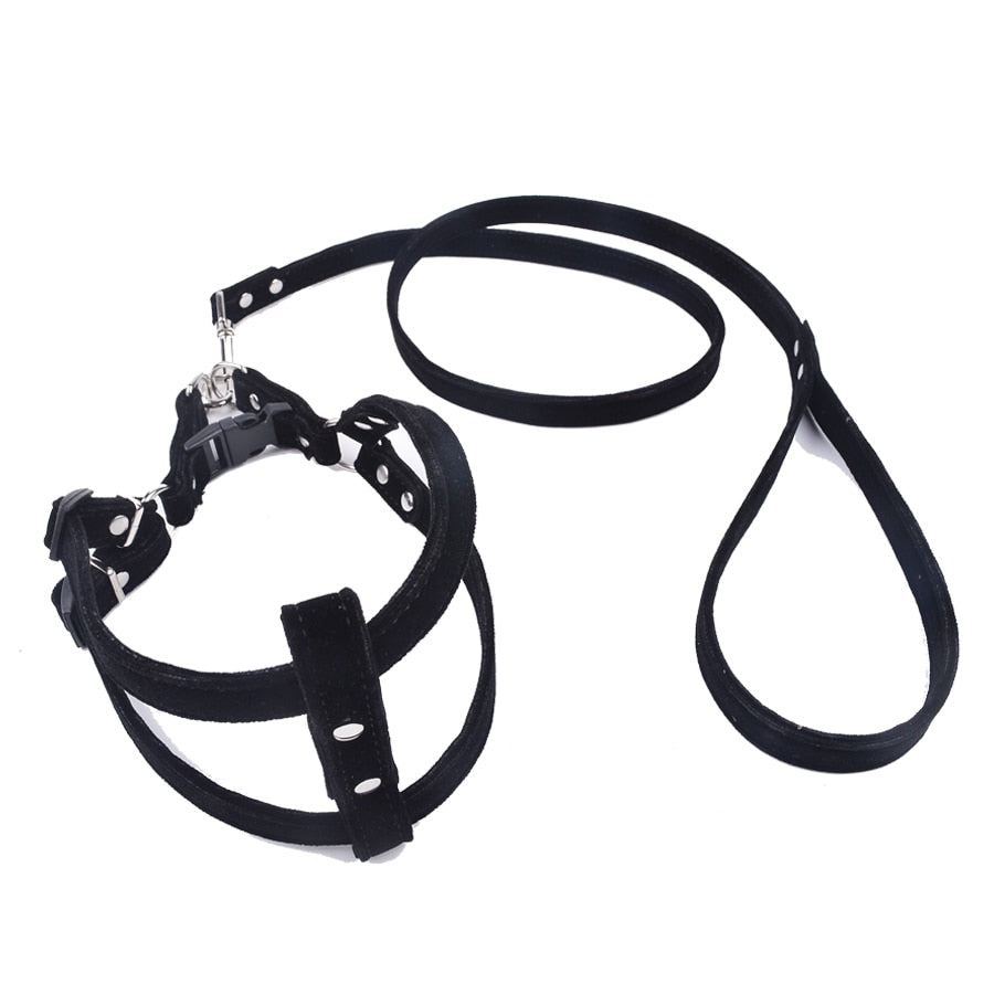 Dog Harness Leash Sets d