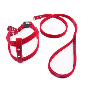 Dog Harness Leash Sets d