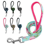 Dog Leash