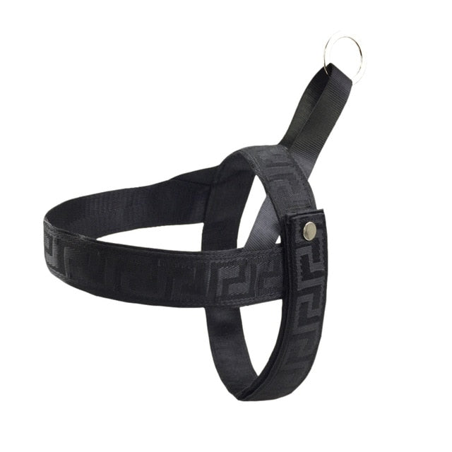 dog Harness