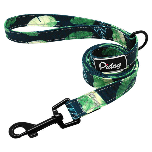 Dog Leash