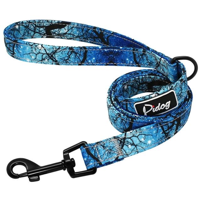 Dog Leash