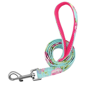 Dog Leash