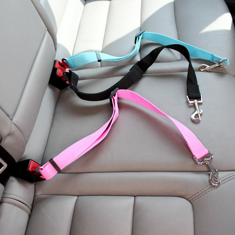 Car leash