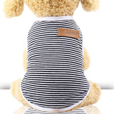 Spring And Summer Clothe