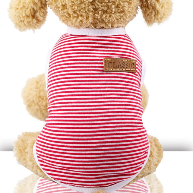 Spring And Summer Clothe