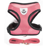 Harness and Leash Set