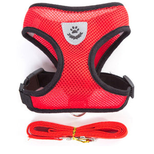 Harness and Leash Set