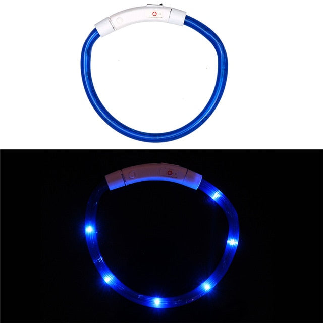 Rechargeable Flashing Night Collars