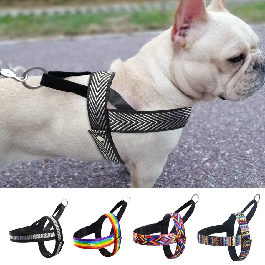 Dog Harness