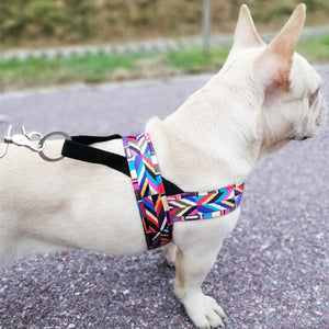 Dog Harness