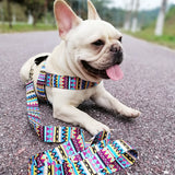 Dog Harness