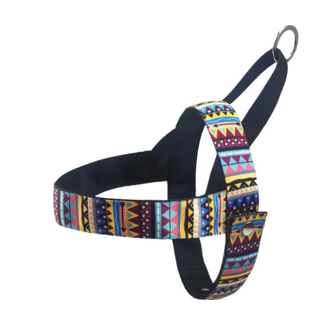 Dog Harness